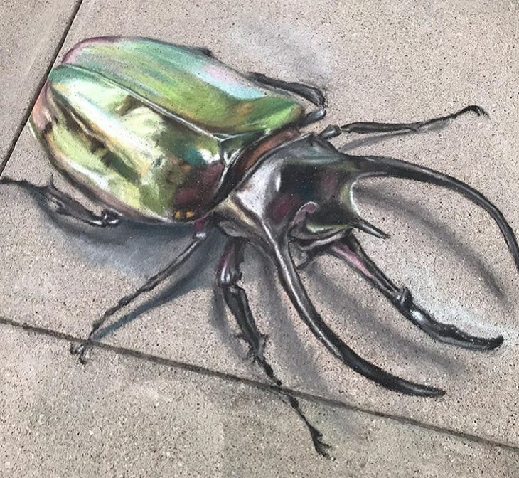 3-D chalk art by Jan Riggins and her teenage daughter Olivia, scarab bug, beetle