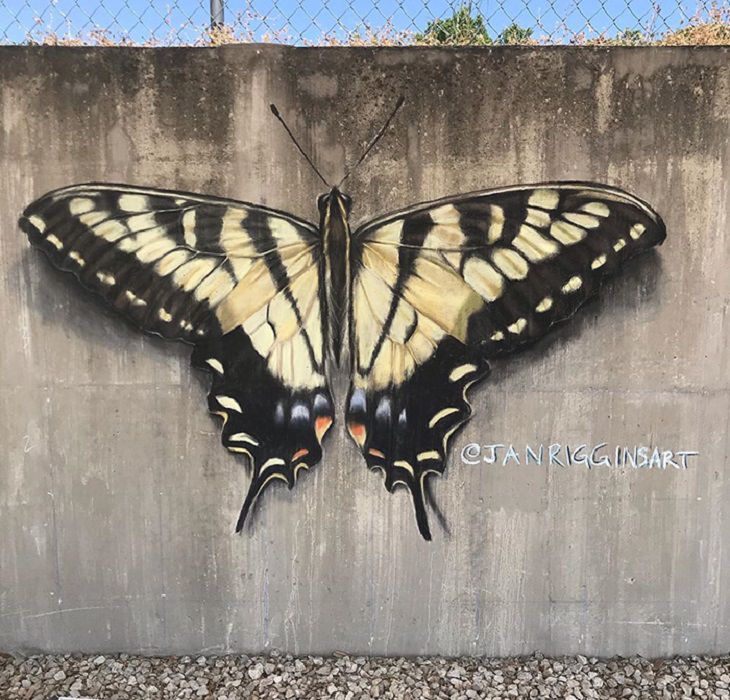 3-D chalk art by Jan Riggins and her teenage daughter Olivia, butterfly
