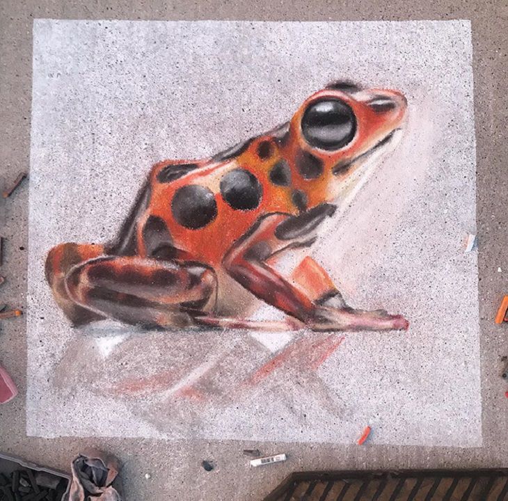 3-D chalk art by Jan Riggins and her teenage daughter Olivia, red frog with black spots and reflection
