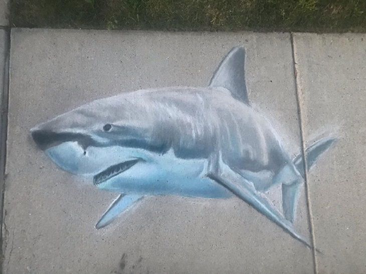 3-D chalk art by Jan Riggins and her teenage daughter Olivia, great white shark