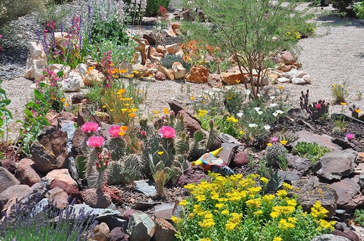 Finalists of the Spring High Country Garden Photography Contest, Succulents & Sunshine by Thomas Hilbert