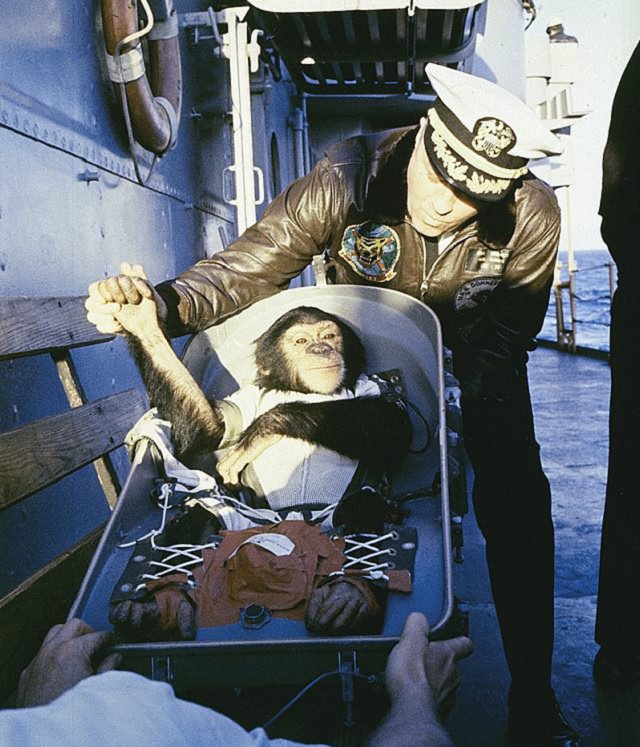 Most Famous Animals in the world, Ham, the first chimpanzee in space