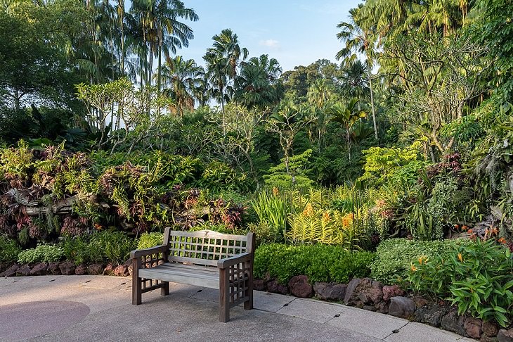 The many beautiful flowers, sights, attractions and exhibits in the natural oasis Singapore Botanic Garden, an outdoor wooden bench in Singapore Botanic Gardens