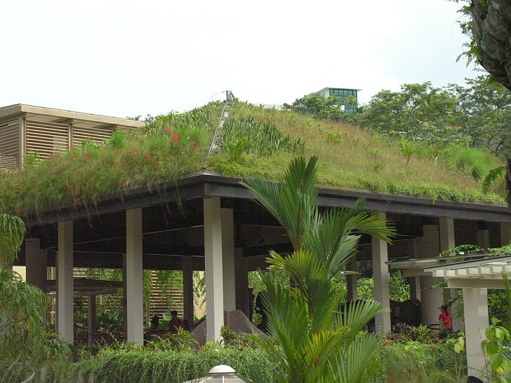 The many beautiful flowers, sights, attractions and exhibits in the natural oasis Singapore Botanic Garden, Singapore's first "green roof", which can be found at the Green Pavilion
