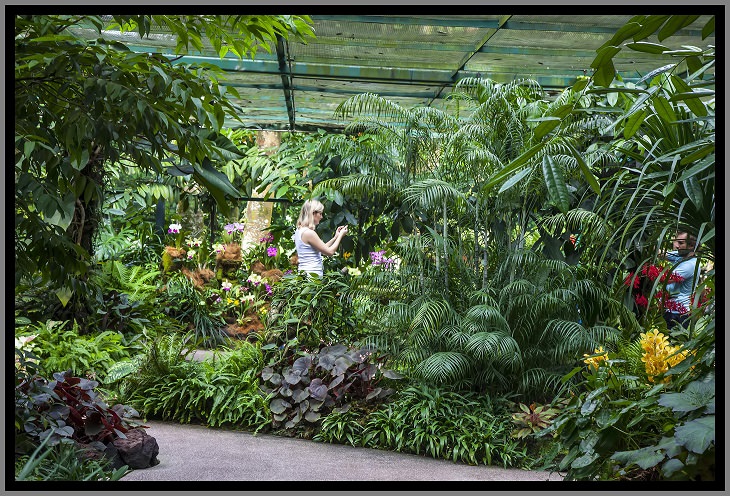 The many beautiful flowers, sights, attractions and exhibits in the natural oasis Singapore Botanic Garden, plant collection in Singapore Botanic Garden
