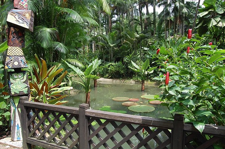 The many beautiful flowers, sights, attractions and exhibits in the natural oasis Singapore Botanic Garden, pond in Singapore Botanic Garden