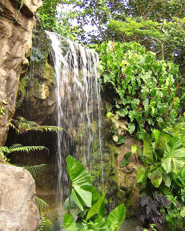 The many beautiful flowers, sights, attractions and exhibits in the natural oasis Singapore Botanic Garden, A waterfall in the Ginger Gardens