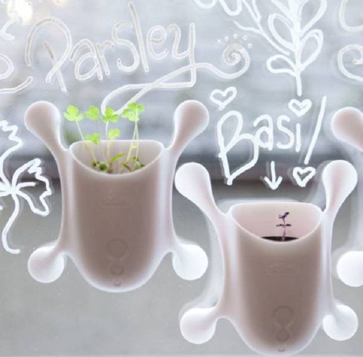Unique and beautiful designs, sticky window planters