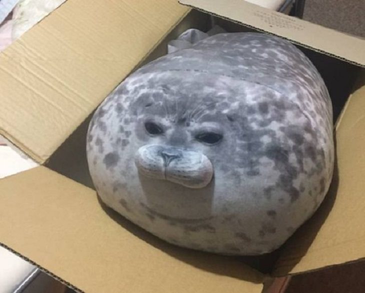 Unique and beautiful designs, fluffy seal pillow