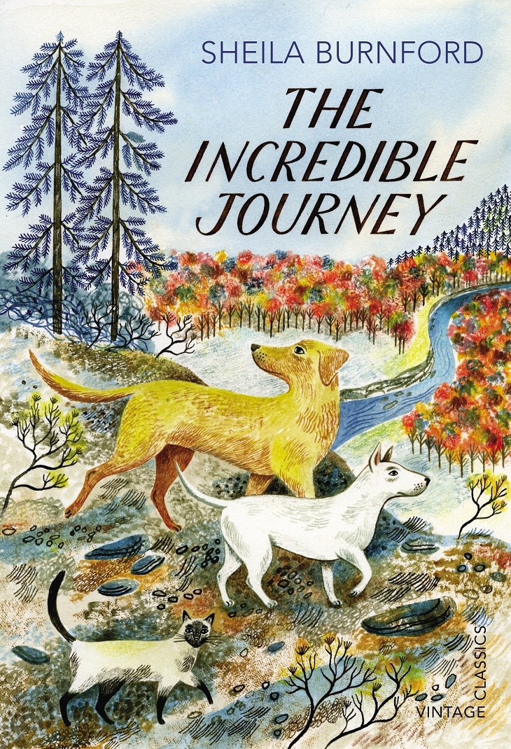 English Classics and Morals, The Incredible Journey