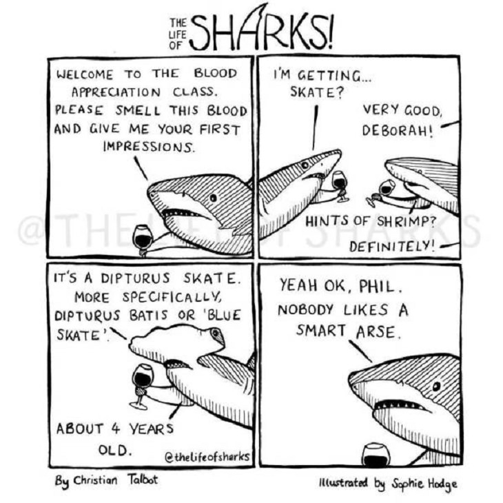 Funny comics on The Life of Sharks written by Christian Talbot and Illustrated by Sophie Hodge
