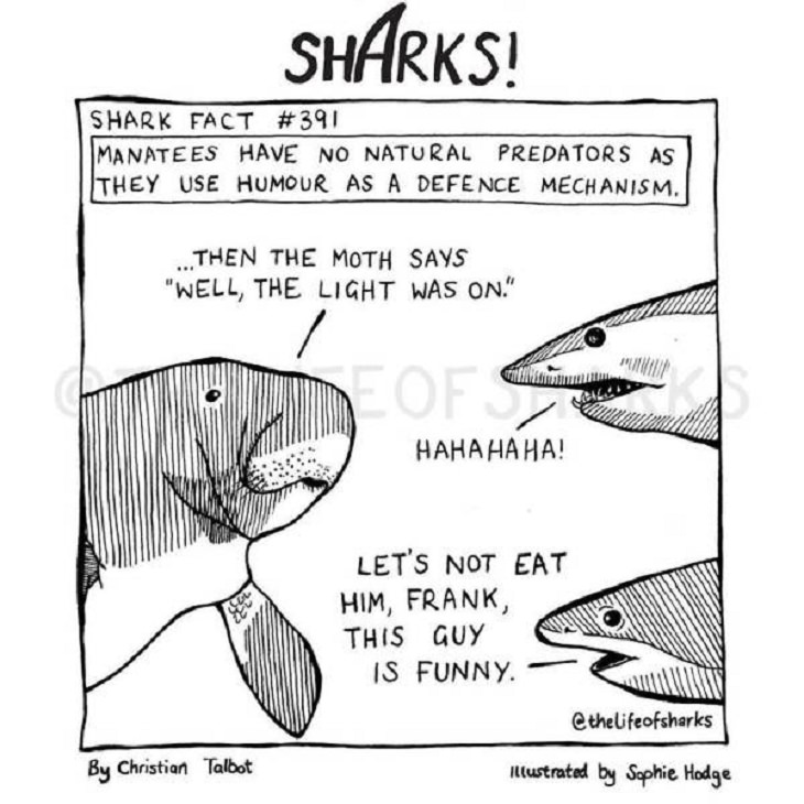 Funny comics on The Life of Sharks written by Christian Talbot and Illustrated by Sophie HodgeFunny comics on The Life of Sharks written by Christian Talbot and Illustrated by Sophie Hodge