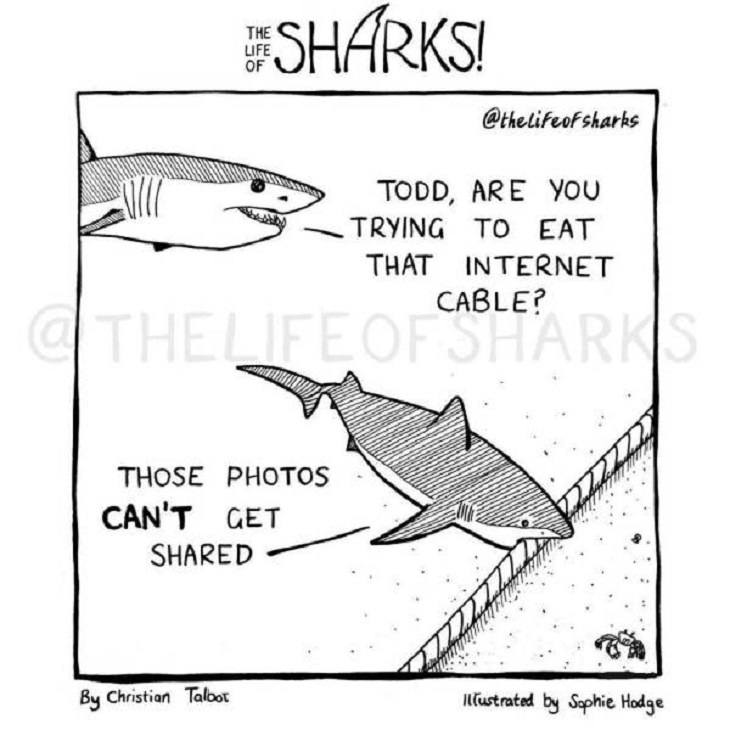 Funny comics on The Life of Sharks written by Christian Talbot and Illustrated by Sophie Hodge