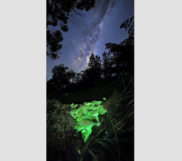 Shortlisted entries and finalists for the David Malin Awards in Astronomy photography, also known as astrophotography, held during the 2019 AstroFest of the Central West Astronomical Society, along with CSIRO, "Galactic Ghost", By Benjamin Alldridge, Category: Nightscapes