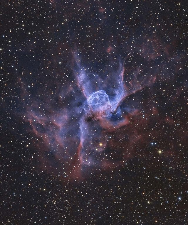 Shortlisted entries and finalists for the David Malin Awards in Astronomy photography, also known as astrophotography, held during the 2019 AstroFest of the Central West Astronomical Society, along with CSIRO, "Thor's Helmet", By Andrew Campbell, Category: Deep Sky