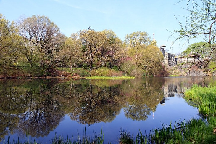 Buildings, attractions, statues, monuments, tributes and memorials found in New York City’s Central Park, The Turtle Pond, between Belvedere Castle and the Green Lawn