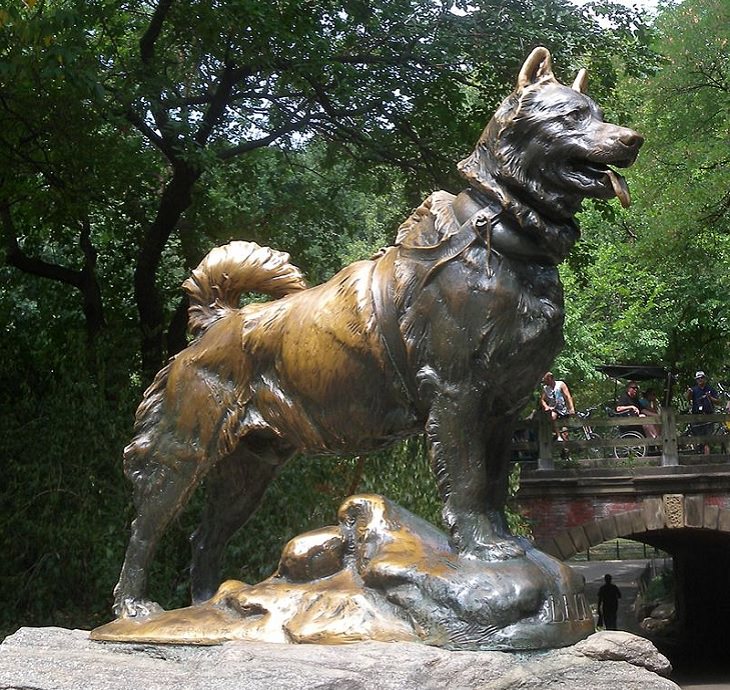 Buildings, attractions, statues, monuments, tributes and memorials found in New York City’s Central Park, Balto, a bronze statue in honor of the Siberian Husky that saved an Alaskan town from diphtheria, located at the intersection of Central Park East Drive & East 66th Street