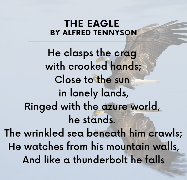 Beautiful Short Poems by famous and brilliant poets and authors, The Eagle, By Alfred Tennyson