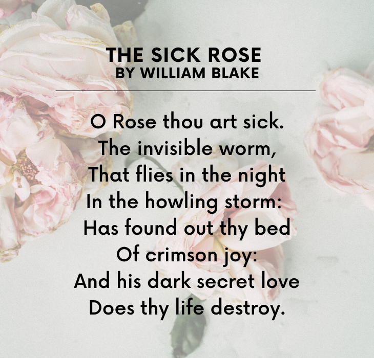 Beautiful Short Poems by famous and brilliant poets and authors, The Sick Rose, By William Blake