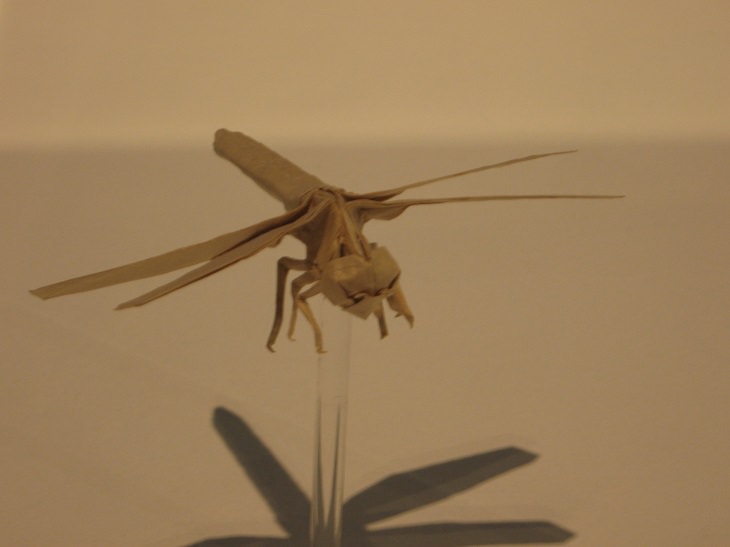 Origami animals, real and mythological, designed by Japanese origami expert Satoshi Kamiya, Dragonfly