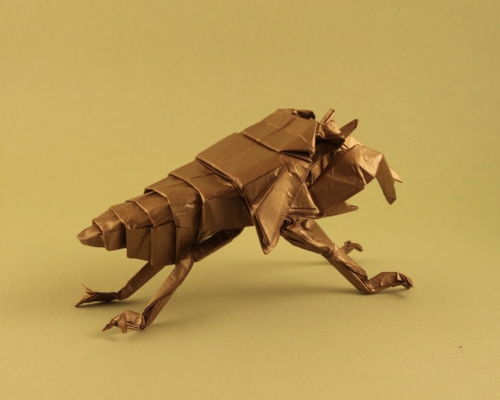 Origami animals, real and mythological, designed by Japanese origami expert Satoshi Kamiya, Cicada Nymph