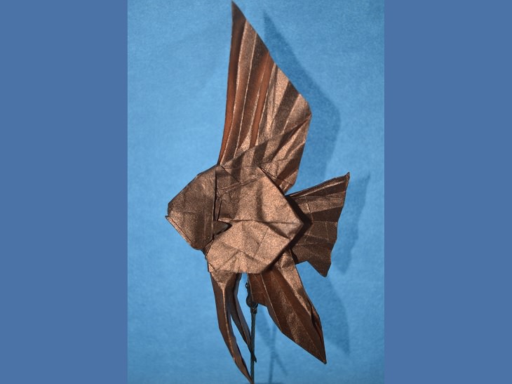 Origami animals, real and mythological, designed by Japanese origami expert Satoshi Kamiya, Veiltail Angelfish