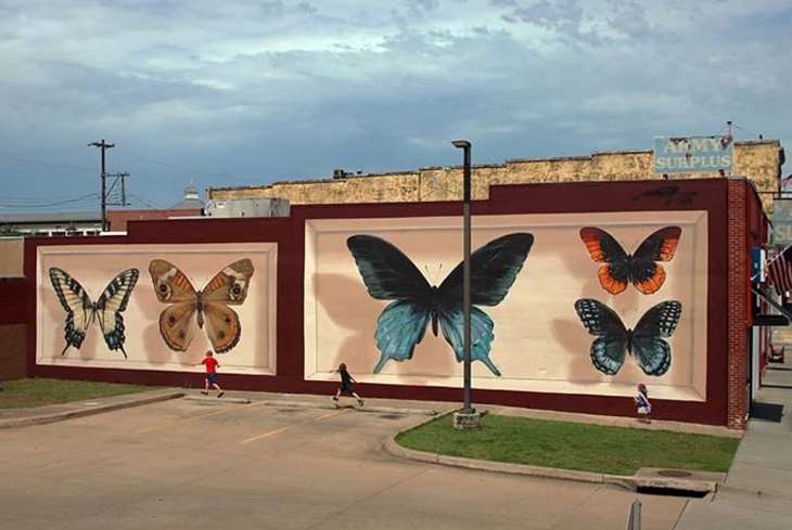 Hyper realistic butterfly specimen exhibits and displays painted as murals by street artist Mantra across the world, The Fort Smith Collection