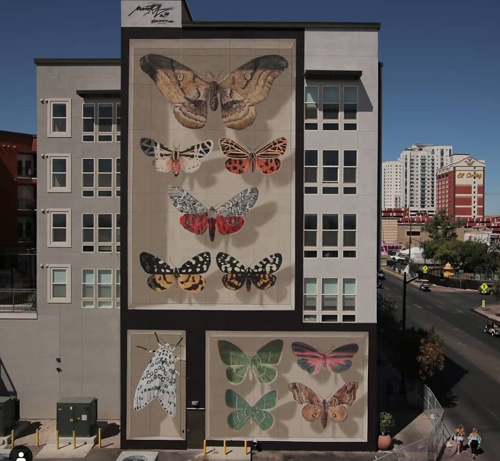 Hyper realistic butterfly specimen exhibits and displays painted as murals by street artist Mantra across the world, Vegas Moths - The Fremont Collection