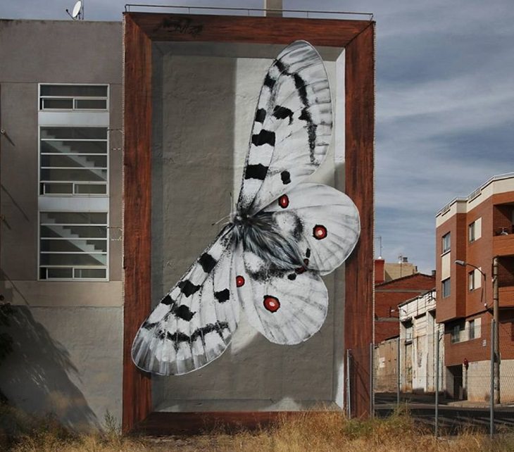 Hyper realistic butterfly specimen exhibits and displays painted as murals by street artist Mantra across the world, El Asalto de Apollo, in Spain