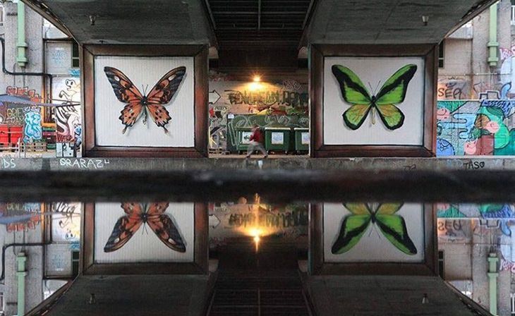 Hyper realistic butterfly specimen exhibits and displays painted as murals by street artist Mantra across the world, The Classic