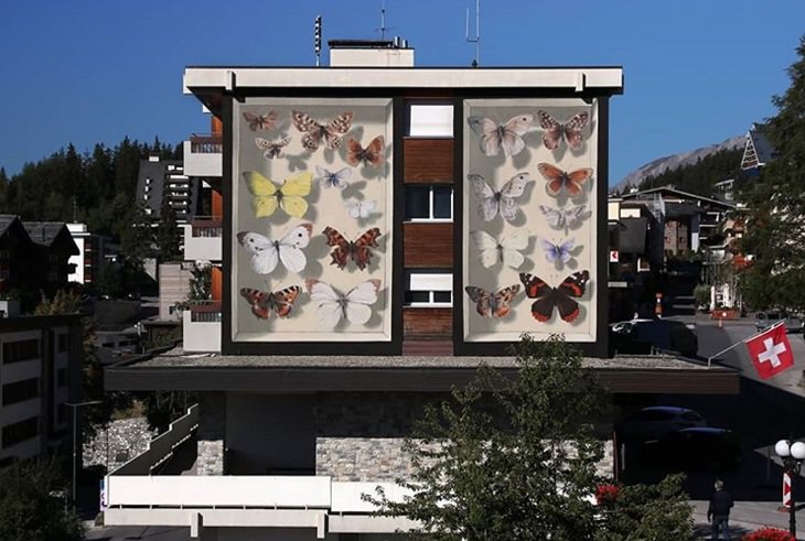 Hyper realistic butterfly specimen exhibits and displays painted as murals by street artist Mantra across the world, La collection du Valais, Switzerland