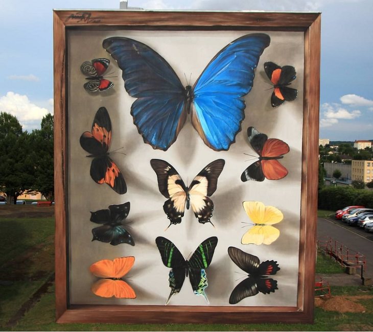 Hyper realistic butterfly specimen exhibits and displays painted as murals by street artist Mantra across the world, Yasuni's Imago, in France