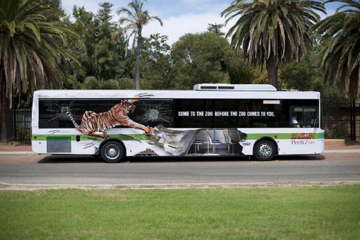 Creative and clever bus advertisements and bus art, Perth Zoo