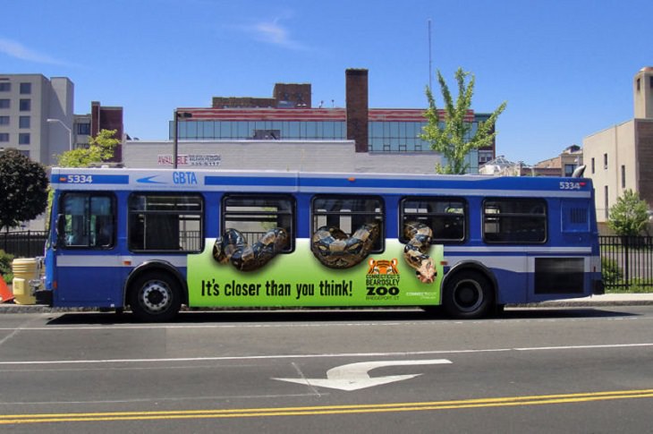 Creative and clever bus advertisements and bus art, Beardsley Zoo, Connecticut