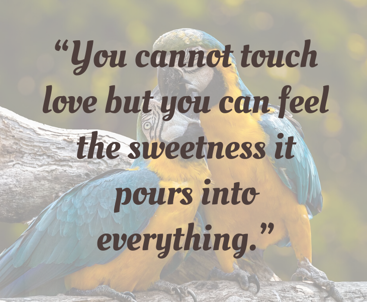 Inspiring quotes from Helen Keller, “You cannot touch love but you can feel the sweetness it pours into everything.”