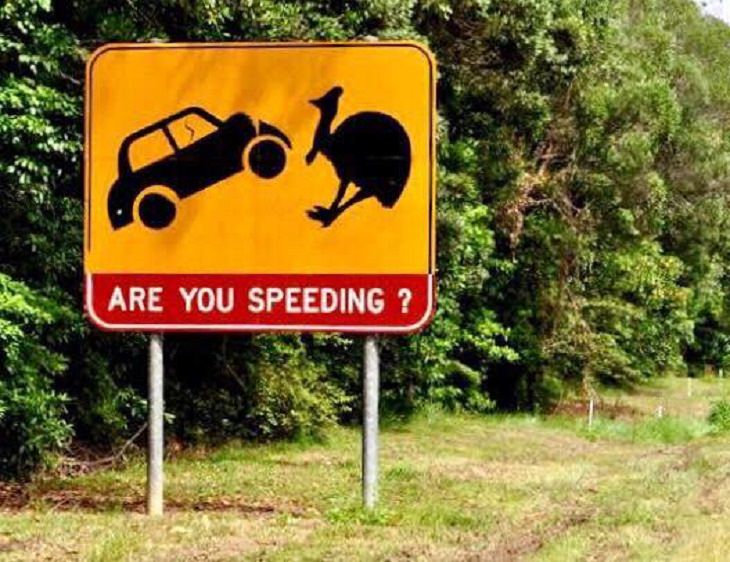 Hilarious and bizarre signs that can only be seen in Australia