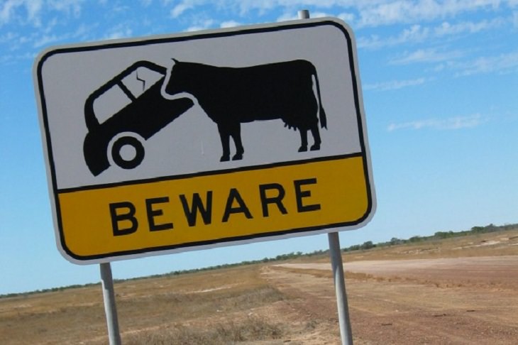 Hilarious and bizarre signs that can only be seen in Australia