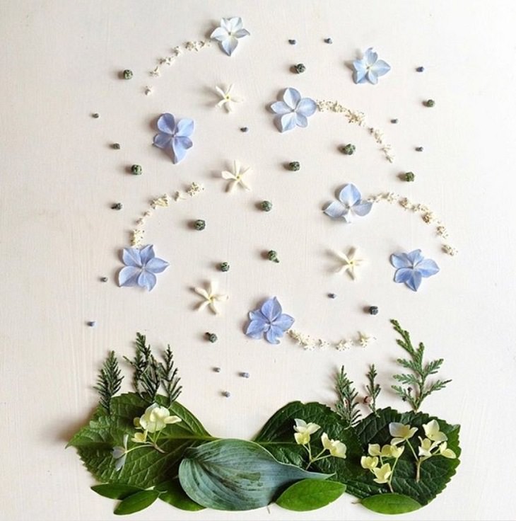 Botanical illustrations of landscapes and scenery made from recycled leaves and flowers by Bridget Beth Collins, aka Flora Forager, Stars