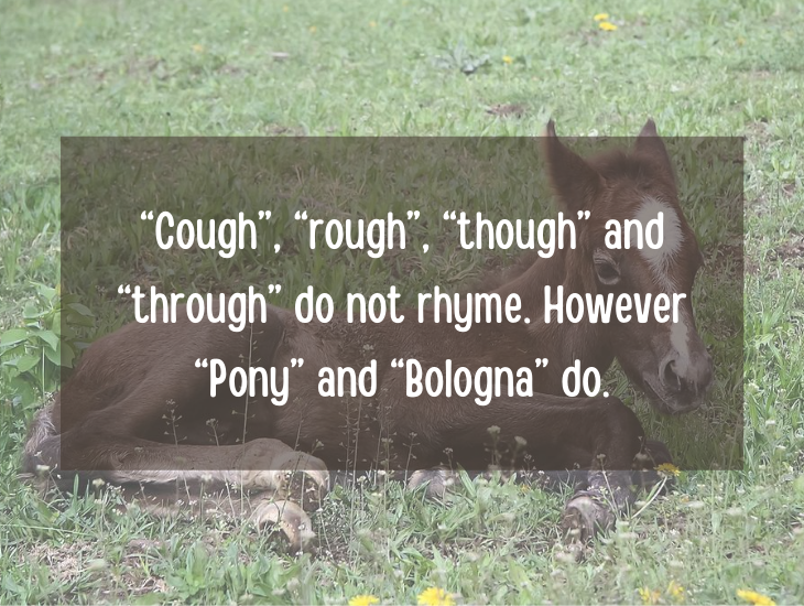Examples and facts that show that English is a funny language, “Cough”, “rough”, “though” and “through” do not rhyme. However “Pony” and “Bologna” do