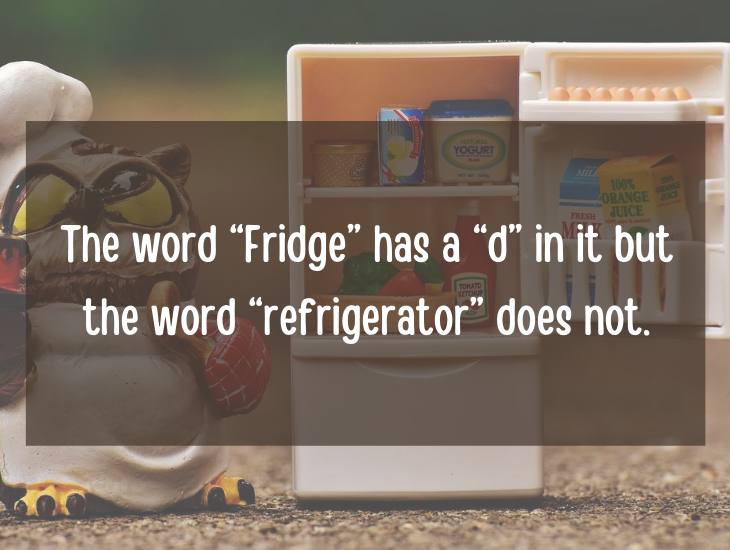 Examples and facts that show that English is a funny language, The word “Fridge” has a “d” in it but the word “refrigerator” does not