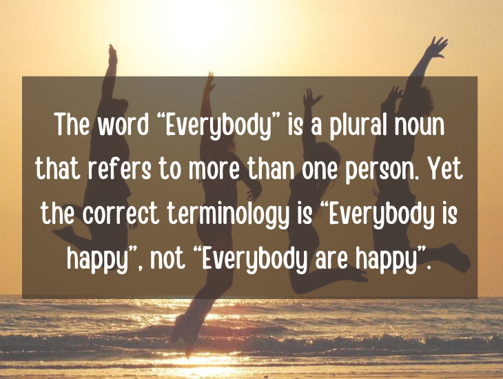 Examples and facts that show that English is a funny language, The word “Everybody” is a plural noun refers to more than one person, yet the correct terminology is “Everybody is happy”, not “Everybody are happy”