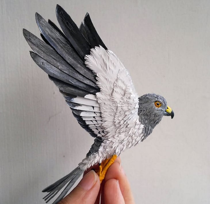 Beautiful and colorful bird sculptures made from paper, paper birds, by Indian artist Niharika Rajput, A gorgeous male Hen Harrier