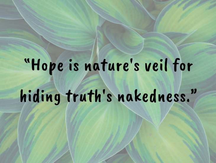 Thought-provoking quotes from inventor, businessman and philanthropist Alfred Nobel, Nobel Foundation, Nobel Prize, “Hope is nature's veil for hiding truth's nakedness.”