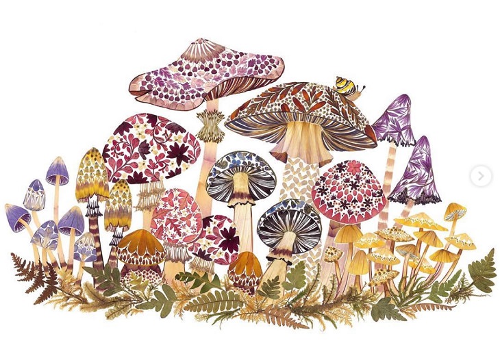 Botanical illustrations, flower art, pictures of animals made from pressed flowers and other plants from Helen Ahpornsiri, different mushrooms