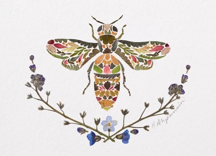 Botanical illustrations, flower art, pictures of animals made from pressed flowers and other plants from Helen Ahpornsiri, honey bee