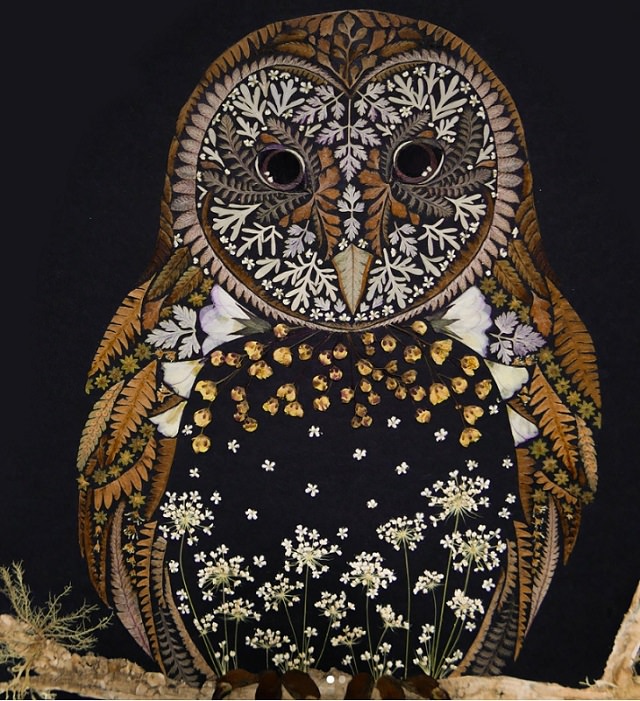 Botanical illustrations, flower art, pictures of animals made from pressed flowers and other plants from Helen Ahpornsiri, owl made from plants