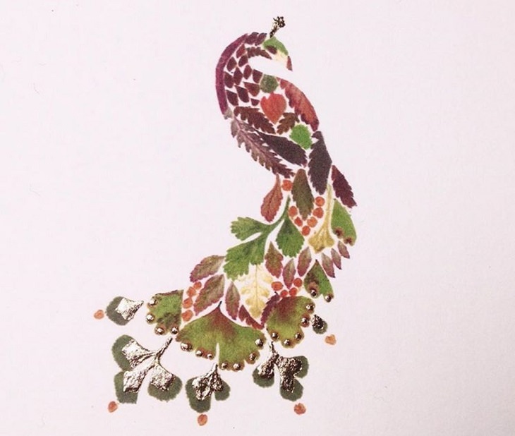 Botanical illustrations, flower art, pictures of animals made from pressed flowers and other plants from Helen Ahpornsiri, Peacock