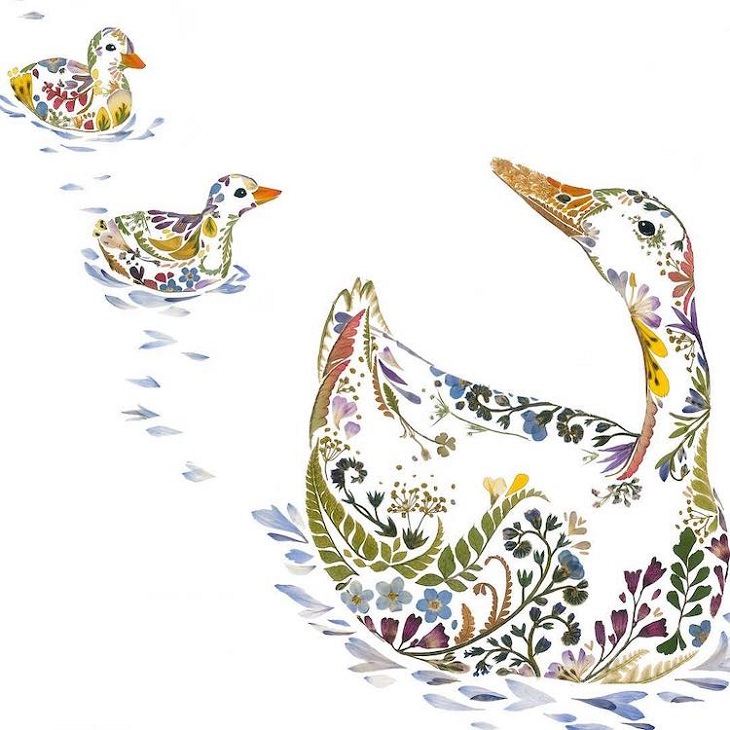 Botanical illustrations, flower art, pictures of animals made from pressed flowers and other plants from Helen Ahpornsiri, mother duck leading ducklings in water