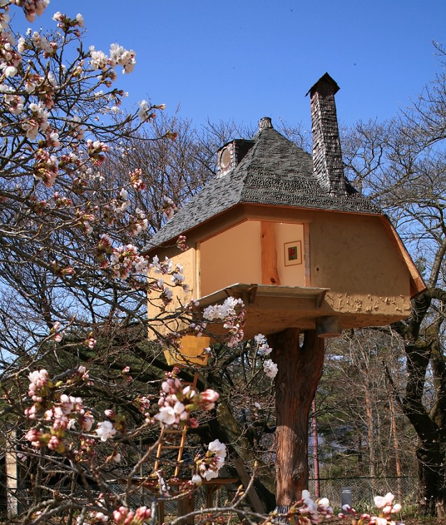 Most incredible and beautiful treehouses and treehotels from around the world, Teahouse Tetsu, surrounded by cherry blossoms in Yamanashi, Japan