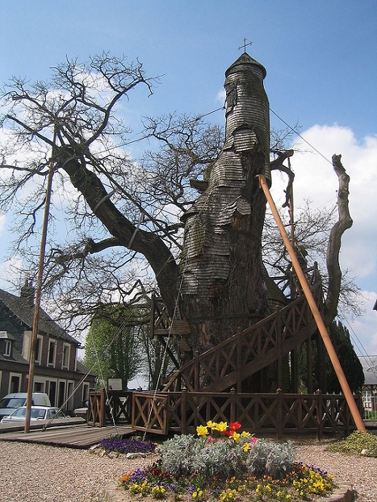 Most incredible and beautiful treehouses and treehotels from around the world, Chêne chapelle in Allouville-Bellefosse, an oak tree hollowed out by lightning that now houses a Chapel